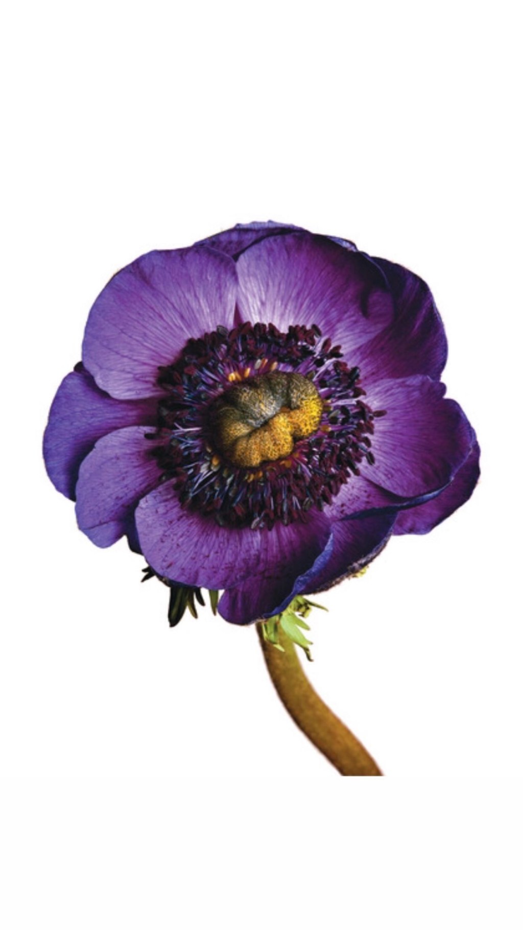 Handled by Internal&nbsp;Grievance